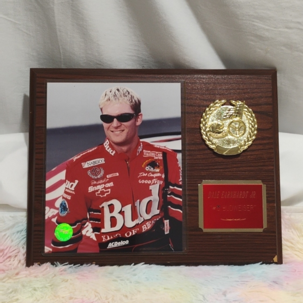 (X-78) SALE! Dale Earnhardt JR. #8 Budweiser Picture/Metal Plaque On Wood Plaque